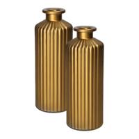 Flesvaas Caro - 2x - metallic goud - glas - D5 x H20 cm - bloemenvaas