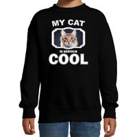 Bruine katten / poezen trui / sweater my cat is serious cool zwart voor kinderen