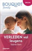 Verleden vol leugens - Valerie Parv - ebook