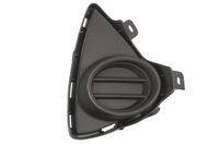 Ventilatiegrille, bumper 6502078118916P