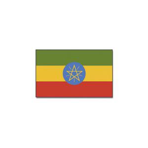 Vlag Ethiopie van 90 x 150 cm - feestartikelen - Landen thema supporters