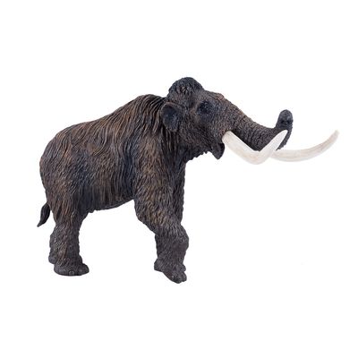 Mojo prehistorie wolharige mammoet 381049