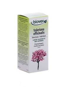 Valeriana officinalis bio