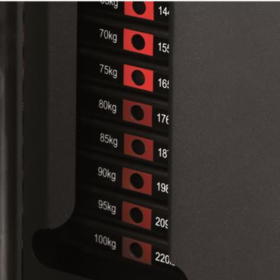 Toorx Professional 1x 30 kg uitbreiding voor CSX-2000 en CSX-6000
