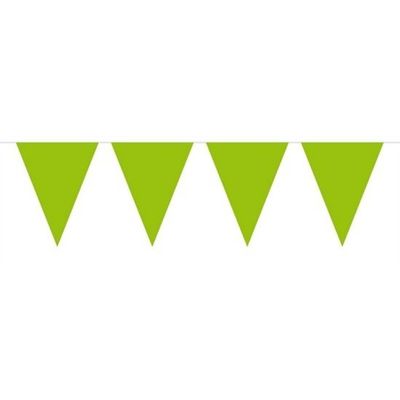 3x Mini Vlaggetjeslijn Slingers Verjaardagl Ime Groen - Vlaggenlijnen