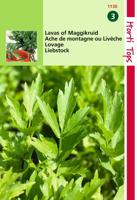 Zaden Lavas (maggiplant) Hortitops - Hortitops