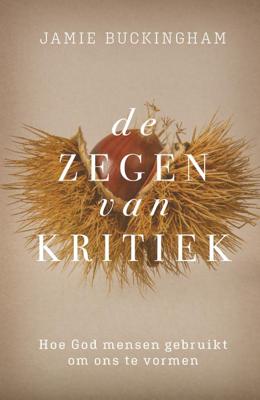 Zegen van kritiek, De (Paperback)