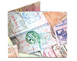 Mighty Wallet Passport
