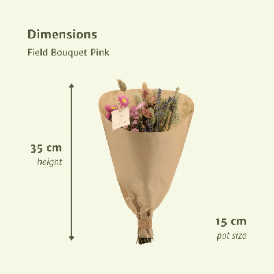 Droogbloemen Field Bouquet Pink - Ø25cm - ↕60cm - Ø15 - ↨35cm
