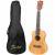 Fazley FUK118NT concert ukelele + gigbag