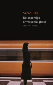 De prachtige onverschilligheid - Steven Hall - ebook