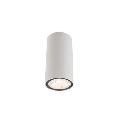 Lyora Opbouwspot buitenEdesa wit - 9111