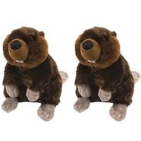 2x stuks pluche bever knuffel 30 cm - thumbnail