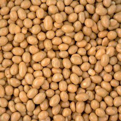 Chocolade pinda&apos;s karamel zeezout 5 kg doos
