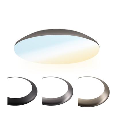 LED Bulkhead - Diameter 25cm - 12W 1300 lumen - CCT Lichtkleur instelbaar - IP65 waterdicht - Vandalismeproof - Plafonniere - Voor binnen en buiten - RVS
