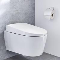 Kleine Wolke Kleine Wolke Toiletrolhouder met deksel Apollo aluminium