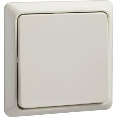 ELSO-toets 506300 42V/1A AP vlak RENOVATIE pw Wit 1 stuk(s)
