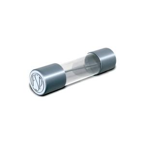 Püschel Feinsicherungen 130.000 1A G-zekering-insert (Ø x l) 5 mm x 30 mm 1 A 500 V Normaal -mT- Inhoud 1 stuk(s) Carton