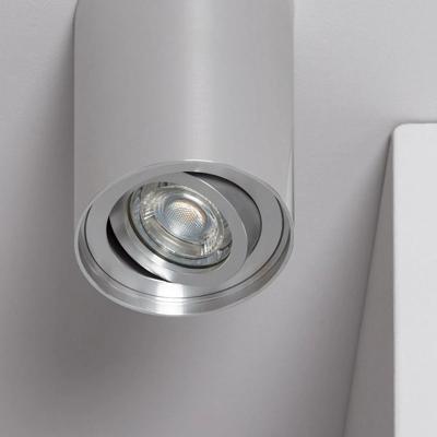 Opbouwspot zilver &apos;Will&apos; Zilver verstelbaar rond led GU10 110mm