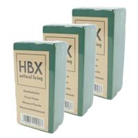 HBX Natural Living Oase steekschuim - 3x - groen - 20 x 10 x 7,5 cm - foam blokken - rechthoek