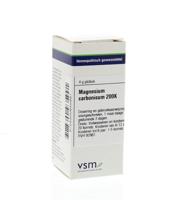 VSM Magnesium carbonicum 200K 4 Gram