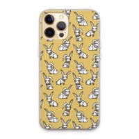 Haas: iPhone 13 Pro Max Transparant Hoesje