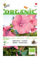 Organic Lavatera trimestris rose/rood (Skal 14275) - Buzzy