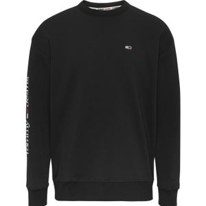 Reg Linear Placement Crew Sweater