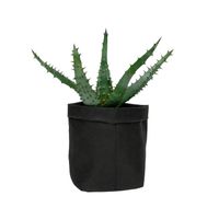 QUVIO Plantenzak uitwasbaar 9x9x15cm - Zwart - thumbnail