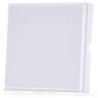 026866  - Central cover plate blind cover 026866 - thumbnail