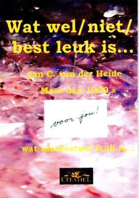 Wat wel/ niet/ best leuk is... (Paperback)