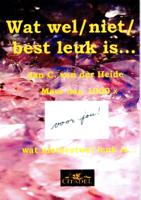 Wat wel/ niet/ best leuk is... (Paperback)