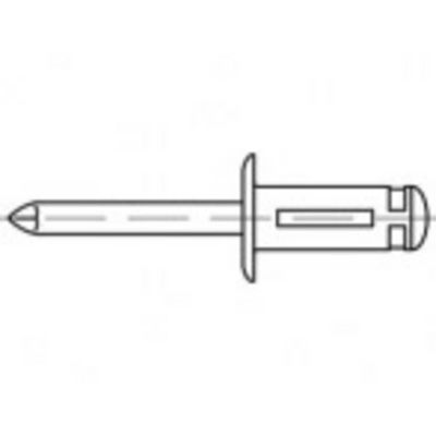 TOOLCRAFT TO-5455305 Open popnagel 4.8 mm 250 stuk(s)