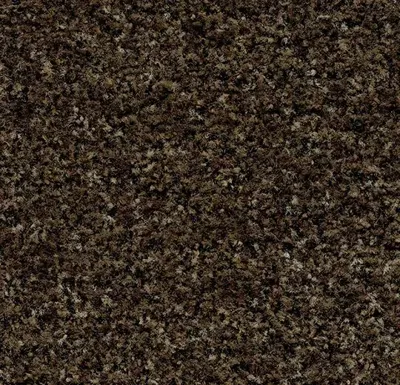 Coral Brush 5774 biscotti brown 205 cm breed