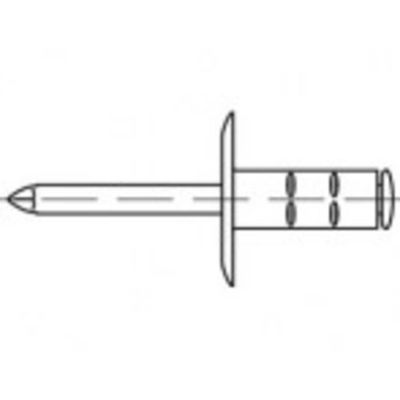 TOOLCRAFT TO-5455260 Open popnagel 4.8 mm 100 stuk(s)
