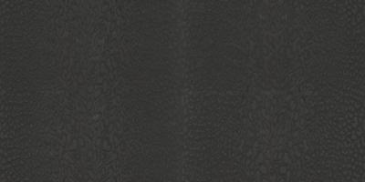 Dutch Wallcoverings Roberto Cavalli 9 - Panter - Zwart