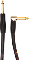 Roland RIC-G20A Roland RIC-G20A