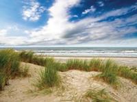 Strand wolk 70x50cm Tuinschilderij - Customize it