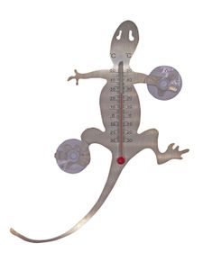 Muurthermometer metaal met zuignappen salamander 20x16x1 cm - Nature