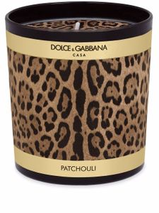 Dolce & Gabbana bougie parfumée à imprimé léopard (250g) - Noir