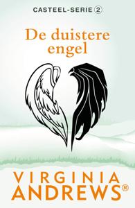 De duistere engel (Paperback)