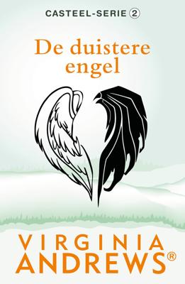 De duistere engel (Paperback)