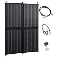 VidaXL Zonnepaneeloplader inklapbaar 100 w 12 v