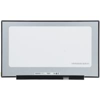 17.3 inch LCD Scherm 1600x900 Mat, 30Pin