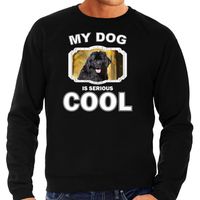 Newfoundlander honden sweater / trui my dog is serious cool zwart voor heren - thumbnail