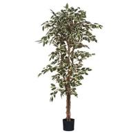 Mica Decorations Ficus Kunstplant - H180 x Ø90 cm - Groen Bont