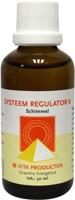 Vita Systeem regulator B Vita Systeem regulator B