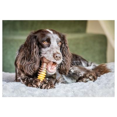 Nylabone Nylabone Extreme Chew Textured Bone Beef & Cheese XL