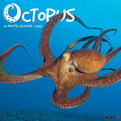 Octopus Kalender 2026 Octopus Kalender 2026