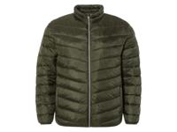 LIVERGY Heren lightweight-jack (grote maten) (XXl, Groen)